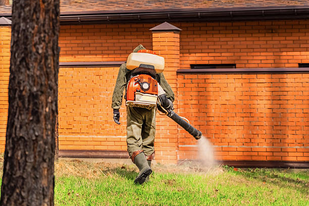 Trusted Cockroach Control service in South Whittier, CA - Nex Pest Control